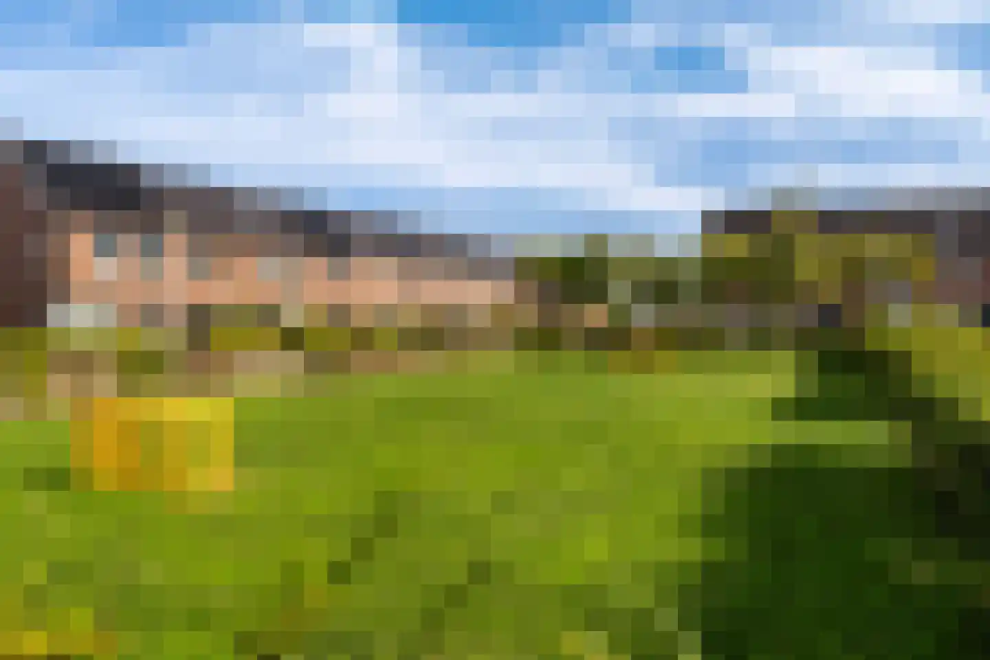 Van Innevelthof 9 Maasdijk thumbnail 42