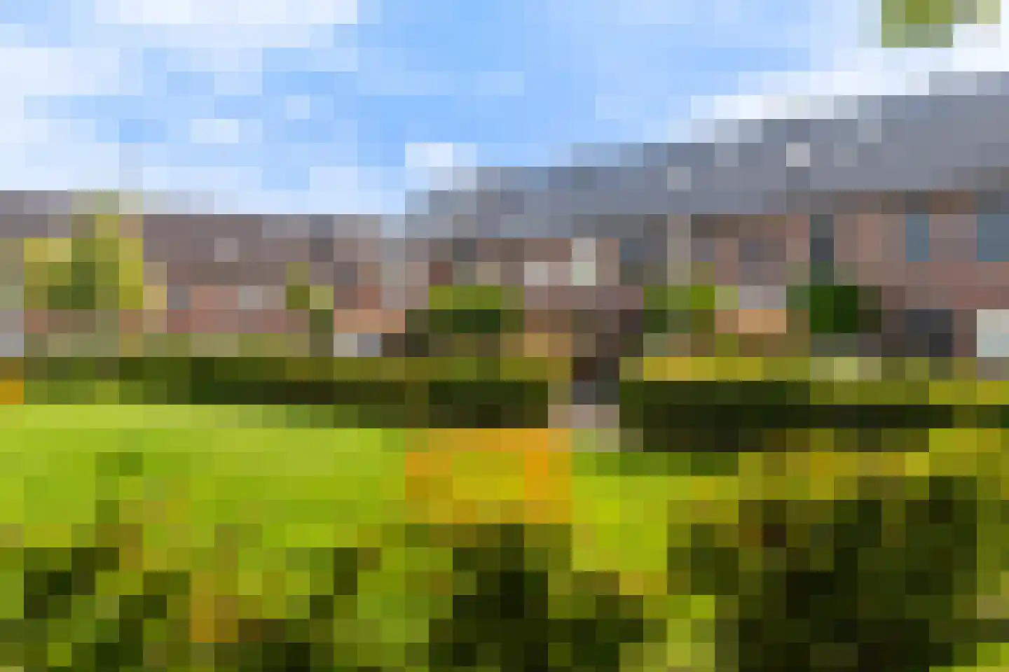 Van Innevelthof 9 Maasdijk thumbnail 43