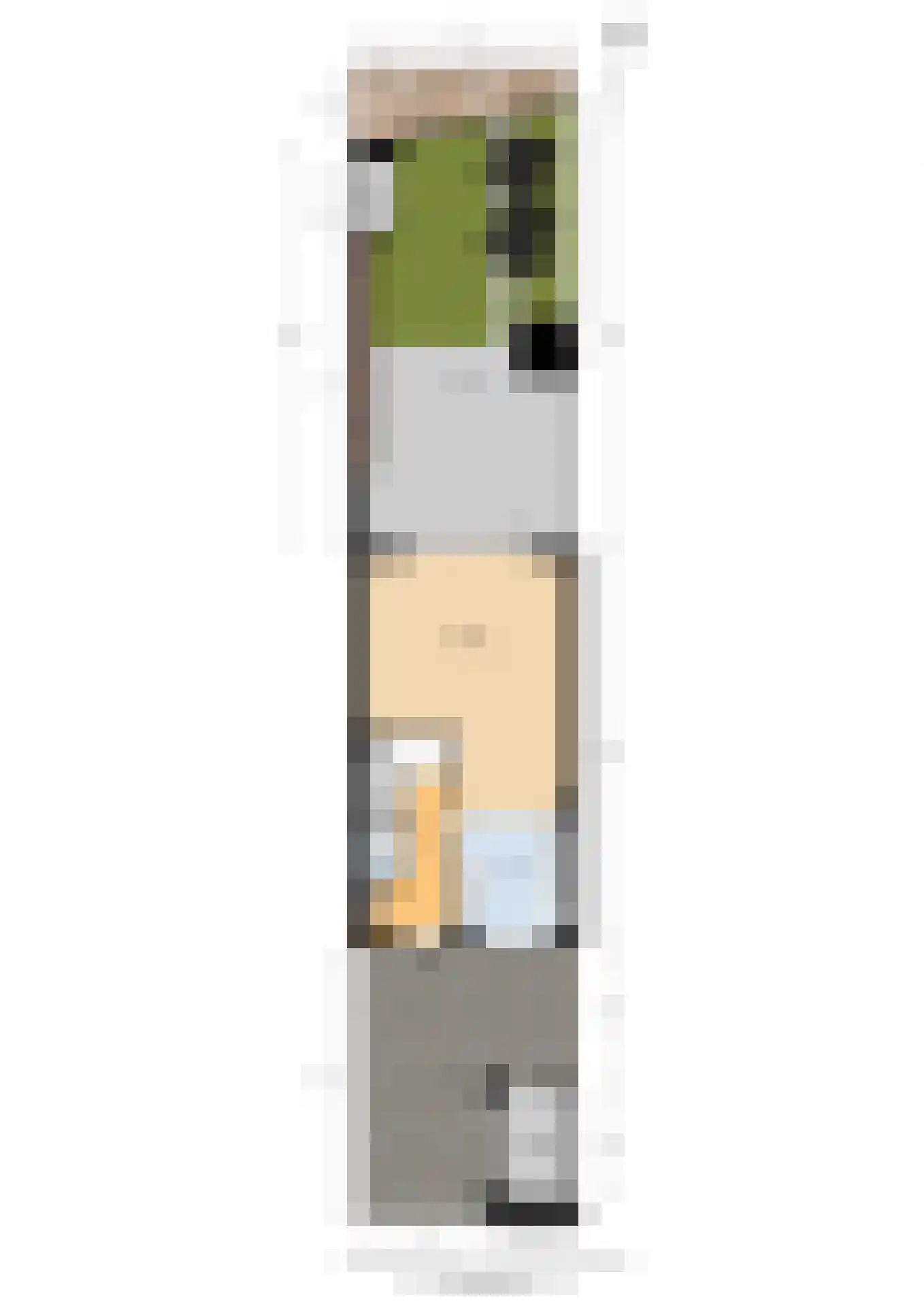 Van Innevelthof 9 Maasdijk thumbnail 44