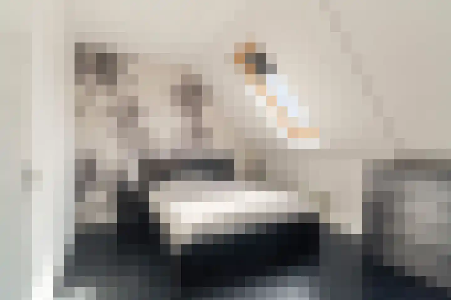 Van Innevelthof 9 Maasdijk thumbnail 5
