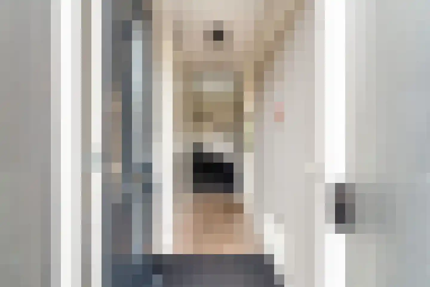 Van Innevelthof 9 Maasdijk thumbnail 9