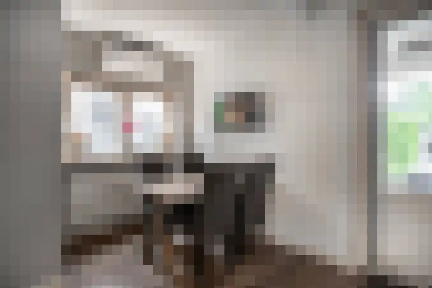 van Irhovenlaan 1 A Ede thumbnail 14