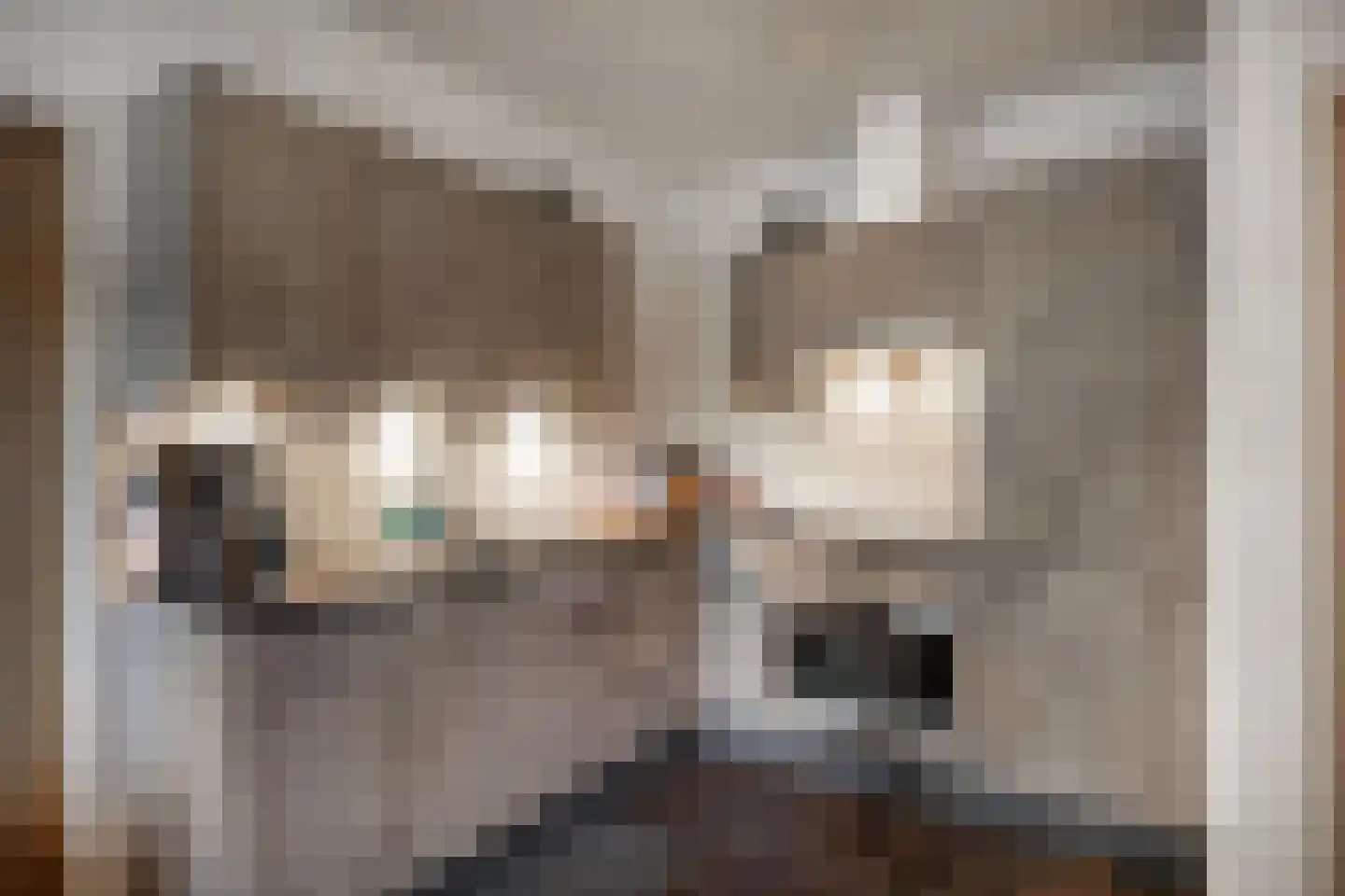 van Irhovenlaan 1 A Ede thumbnail 18