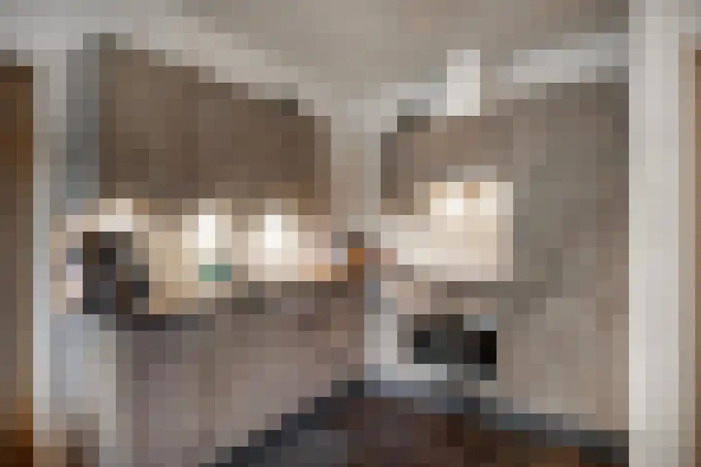 van Irhovenlaan 1 A Ede thumbnail 19