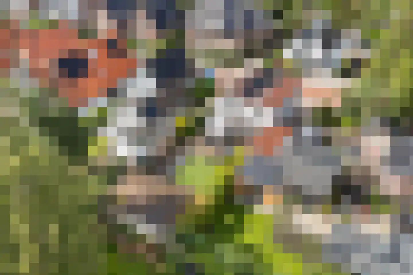 van Irhovenlaan 1 A Ede thumbnail 49