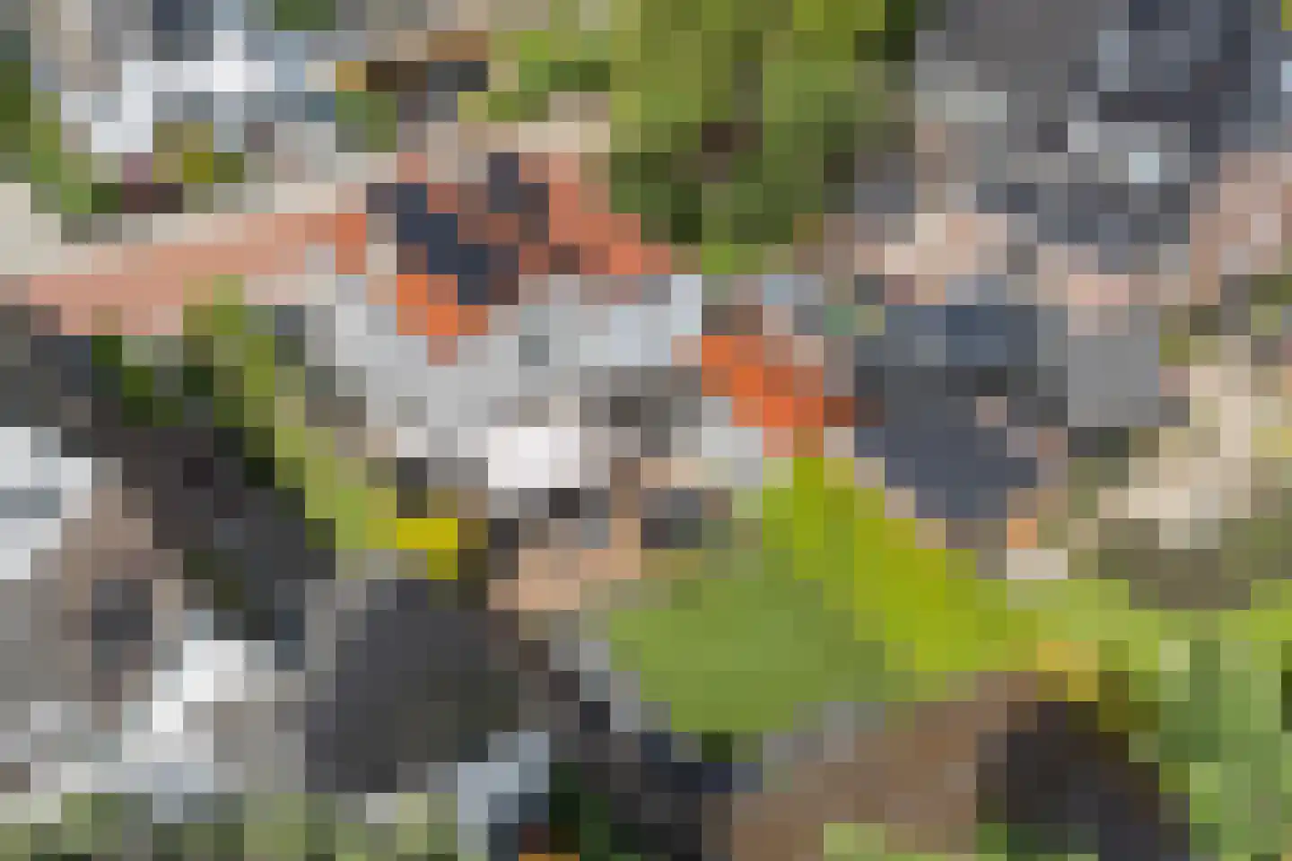 van Irhovenlaan 1 A Ede thumbnail 50