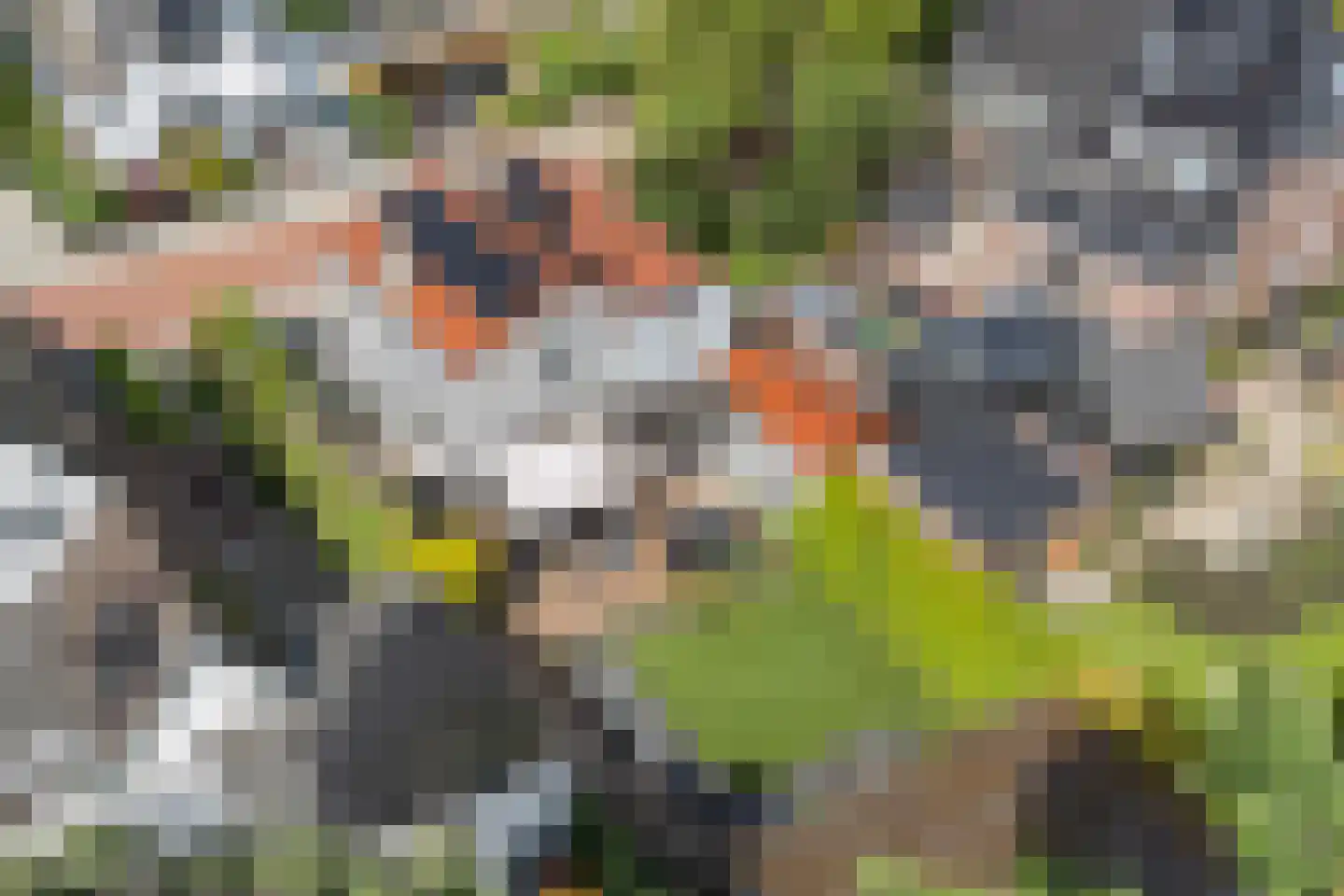 van Irhovenlaan 1 A Ede thumbnail 51