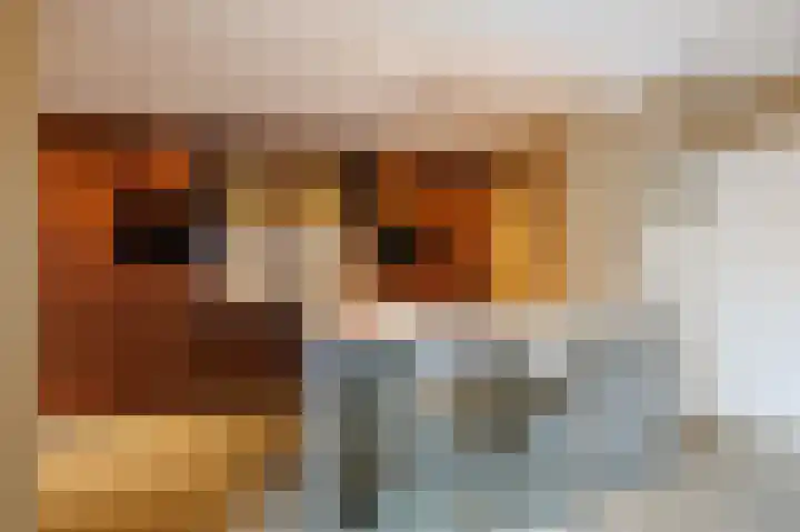 van Irhovenlaan 12 Ede thumbnail 11