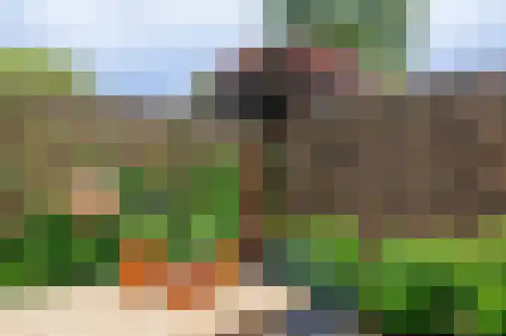 van Irhovenlaan 12 Ede thumbnail 42