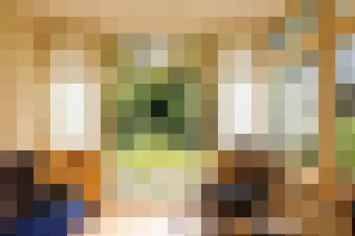 van Irhovenlaan 5 Ede thumbnail 13