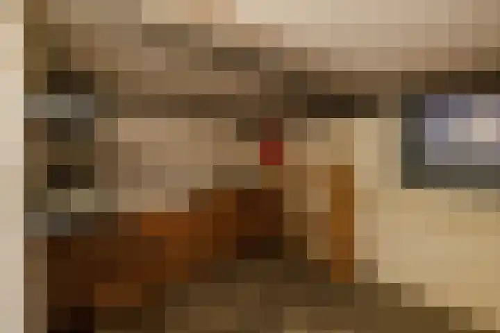 van Irhovenlaan 5 Ede thumbnail 17