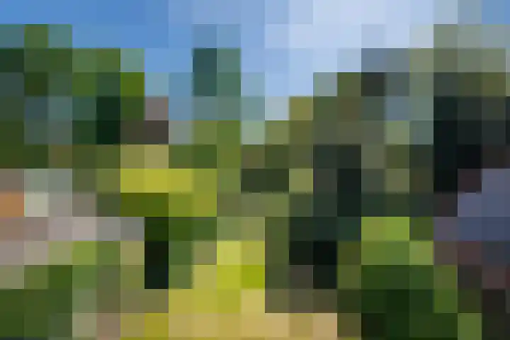 van Irhovenlaan 5 Ede thumbnail 33