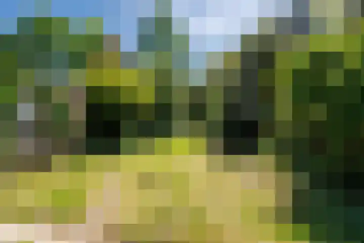 van Irhovenlaan 5 Ede thumbnail 34