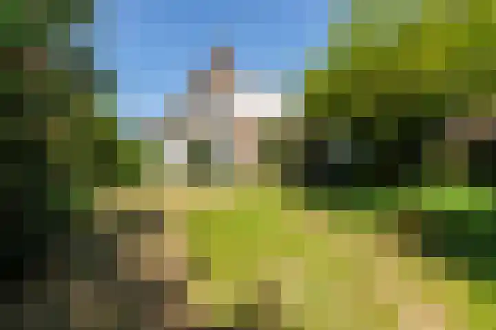 van Irhovenlaan 5 Ede thumbnail 35