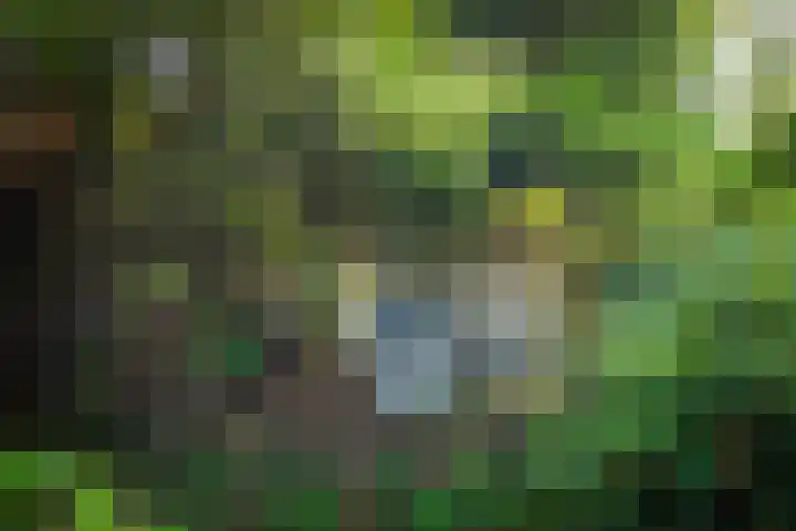 van Irhovenlaan 5 Ede thumbnail 36