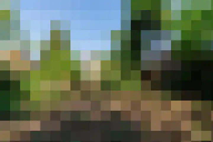 van Irhovenlaan 5 Ede thumbnail 37