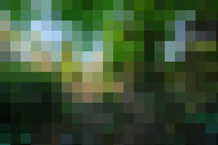 van Irhovenlaan 5 Ede thumbnail 38