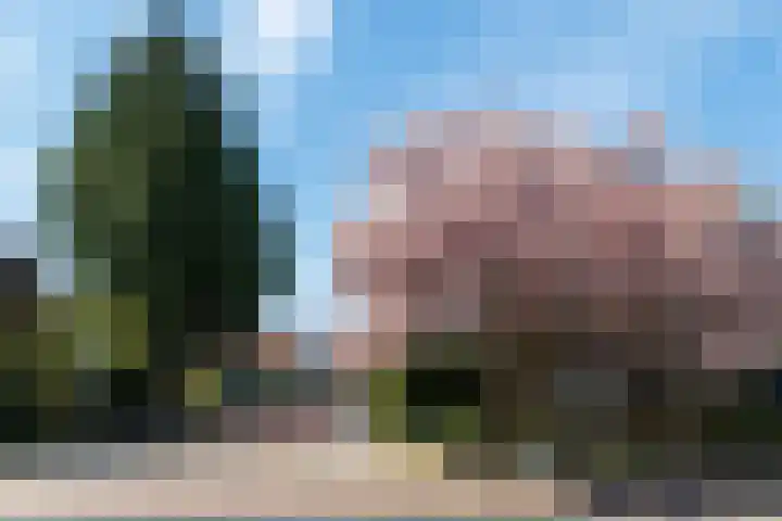 van Irhovenlaan 5 Ede thumbnail 40