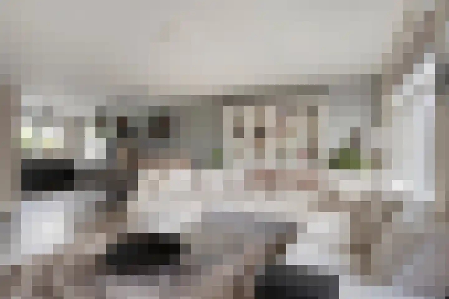 Van Irhovenstraat 25 Maren-Kessel thumbnail 9