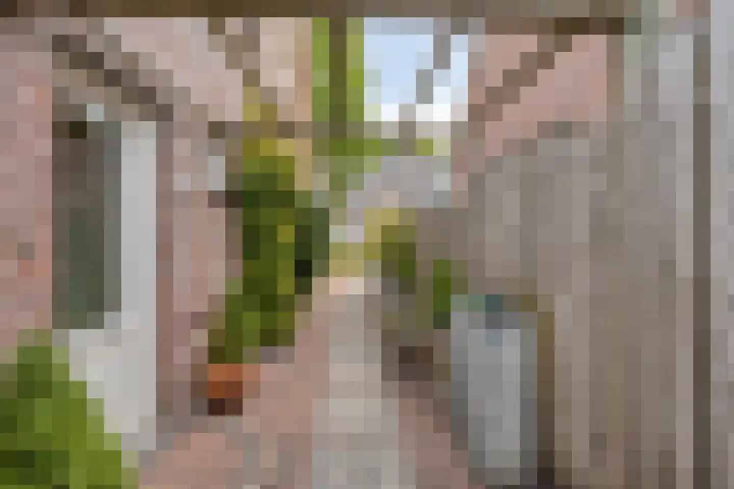 Van Irhovenstraat 5 Maren-Kessel thumbnail 54
