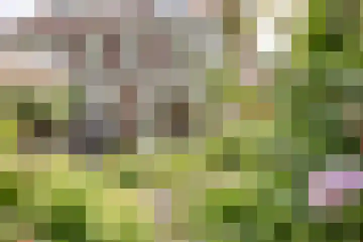 van Itersonlaan 5 Gouda thumbnail 17