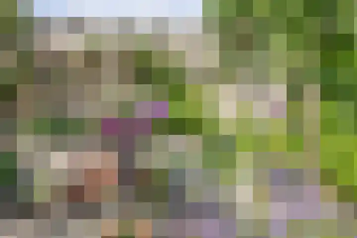 van Itersonlaan 5 Gouda thumbnail 20