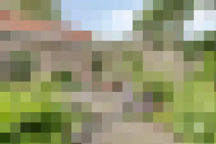van Itersonlaan 5 Gouda thumbnail 21
