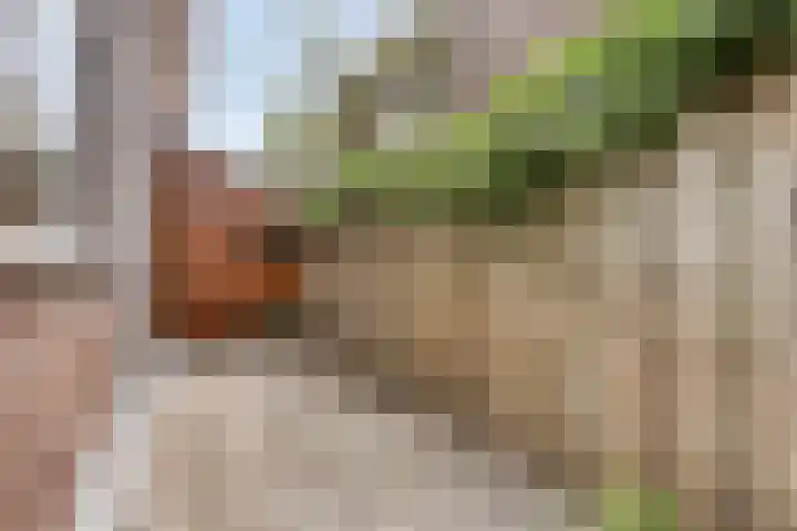 van Itersonlaan 5 Gouda thumbnail 22