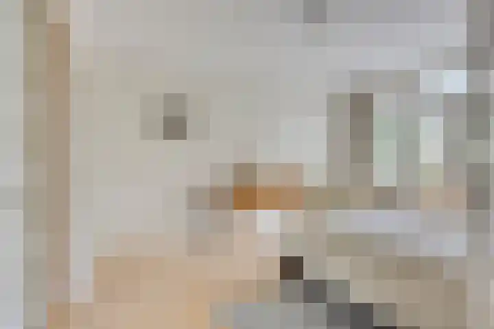van Itersonlaan 5 Gouda thumbnail 30