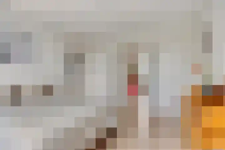 van Itersonlaan 5 Gouda thumbnail 31