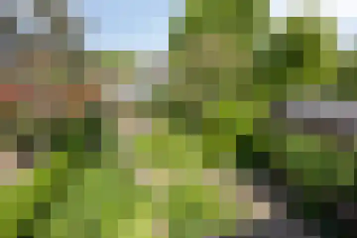 van Itersonlaan 5 Gouda thumbnail 59