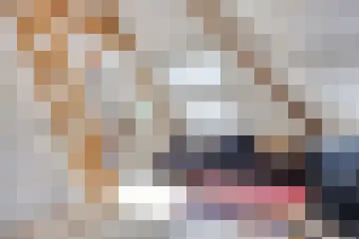 van Itersonlaan 5 Gouda thumbnail 64