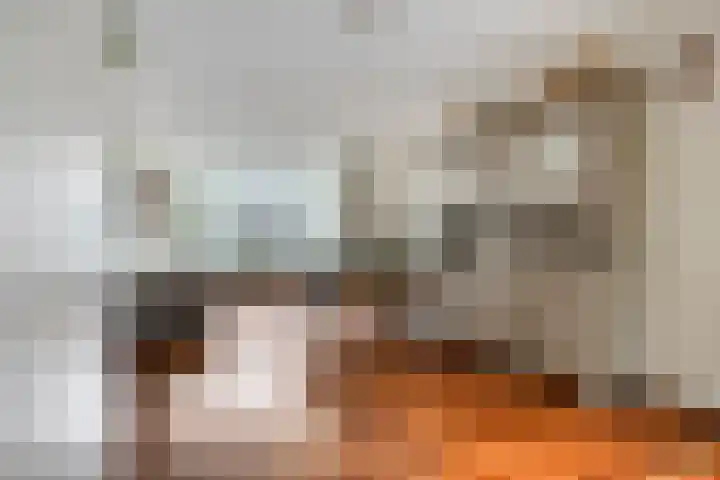 van Itersonlaan 5 Gouda thumbnail 8