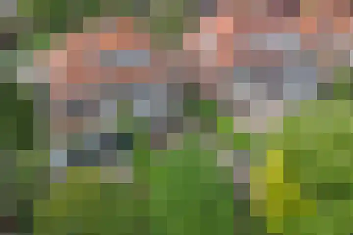 van Itersonlaan 9 Gouda thumbnail 7