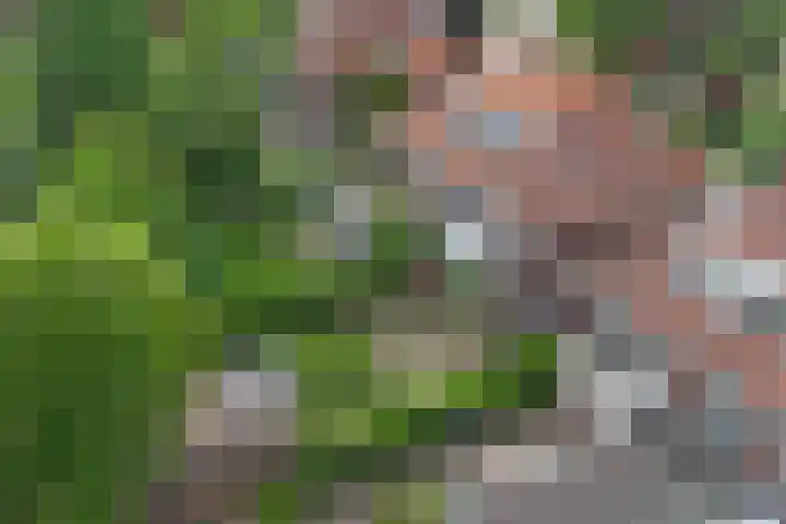 van Itersonlaan 9 Gouda thumbnail 8