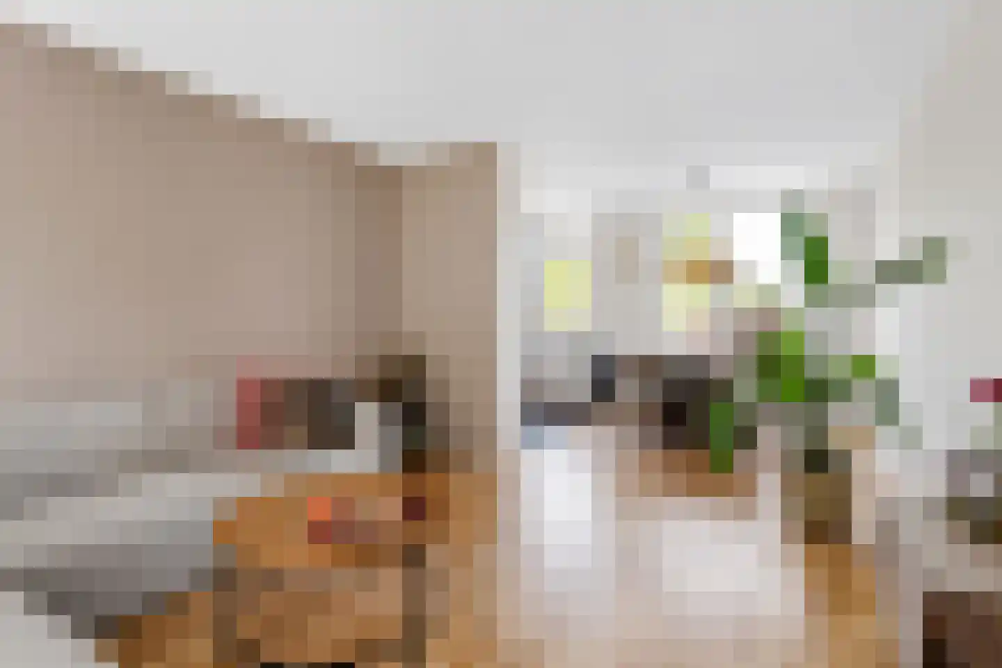 Van Itersonstraat 27 Geleen thumbnail 5