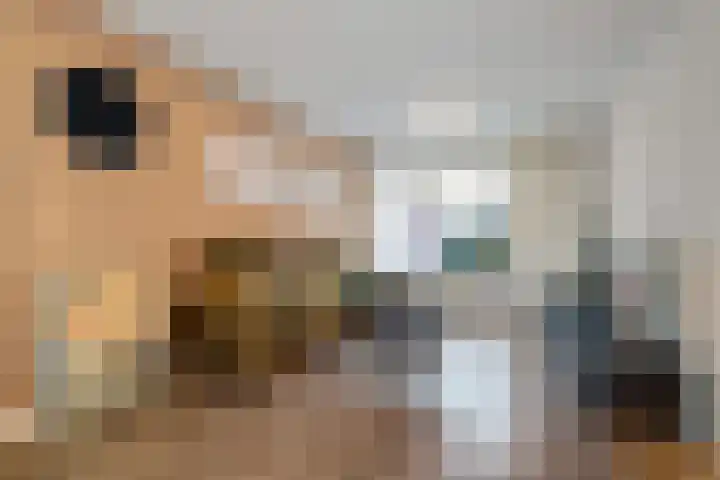 Van Itersonstraat 28 Geleen thumbnail 6