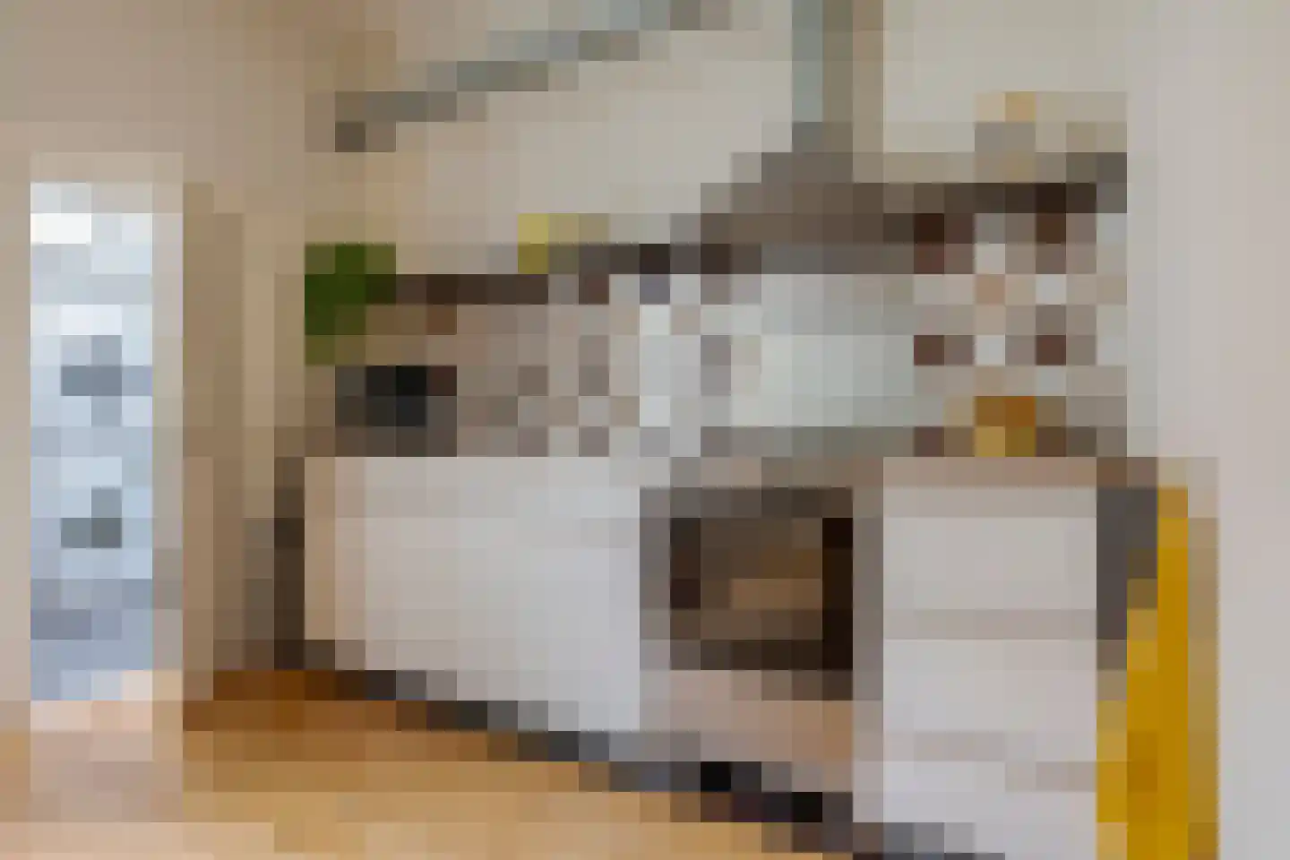 Van Ittersumdwarsstraat 12 Zwolle thumbnail 21
