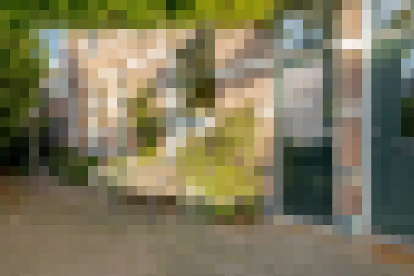 Van Ittersumdwarsstraat 12 Zwolle thumbnail 9