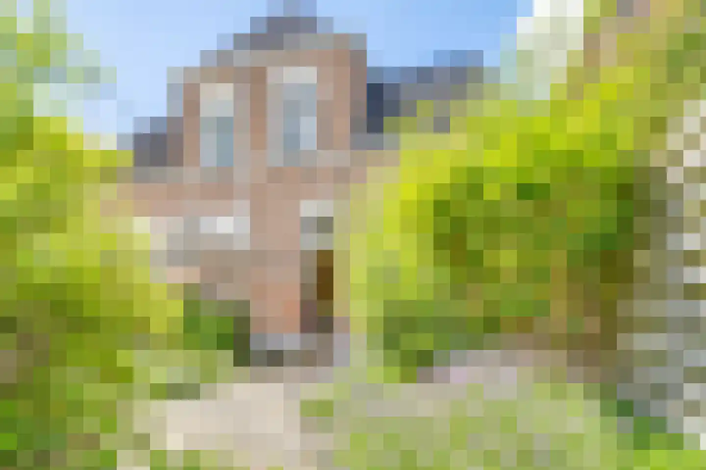 Van Ittersumstraat 105 Zwolle thumbnail 24