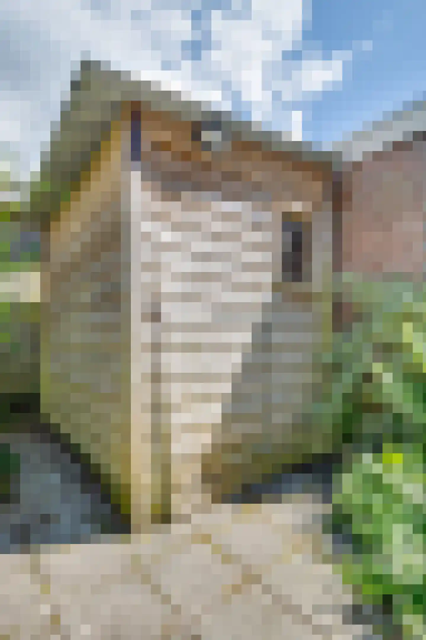 Van Ittersumstraat 105 Zwolle thumbnail 25