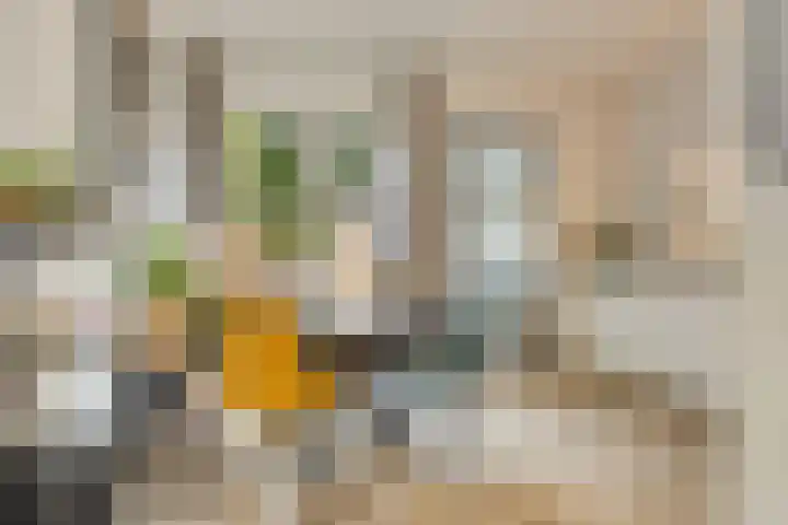 Van Ittersumstraat 30 Zwolle thumbnail 10
