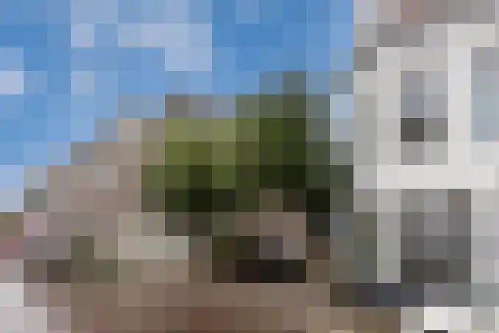 Van Ittersumstraat 62 C Zwolle thumbnail 25