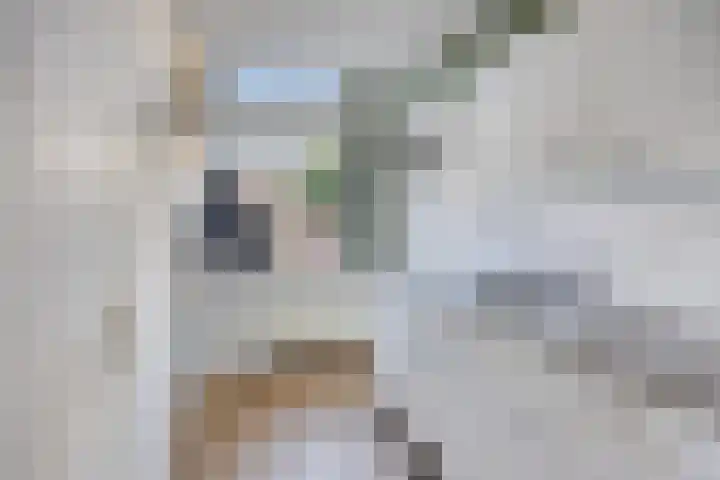 Van Ittersumstraat 82 Zwolle thumbnail 10