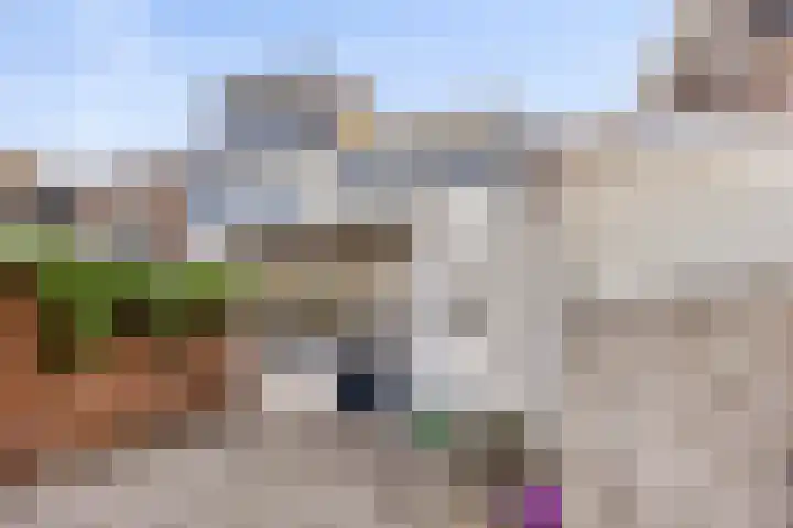 Van Ittersumstraat 82 Zwolle thumbnail 25