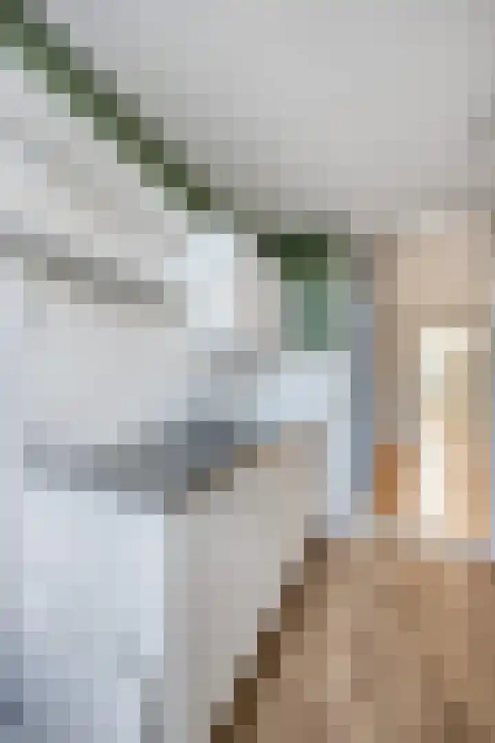 Van Ittersumstraat 82 Zwolle thumbnail 9