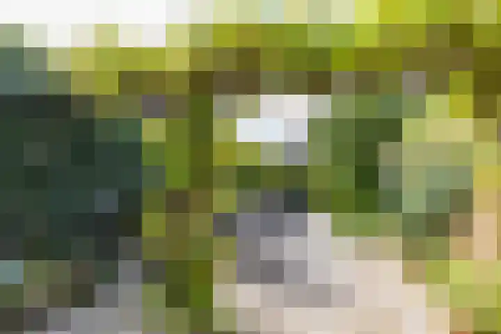 Van Ittersumstraat 9 Groningen thumbnail 23