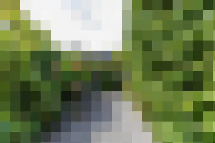 Van Ittersumstraat 9 Groningen thumbnail 25