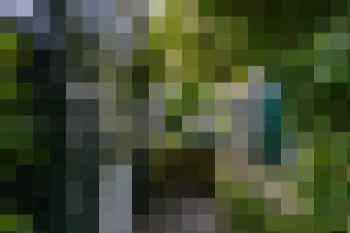 Van Ittersumstraat 9 Groningen thumbnail 27