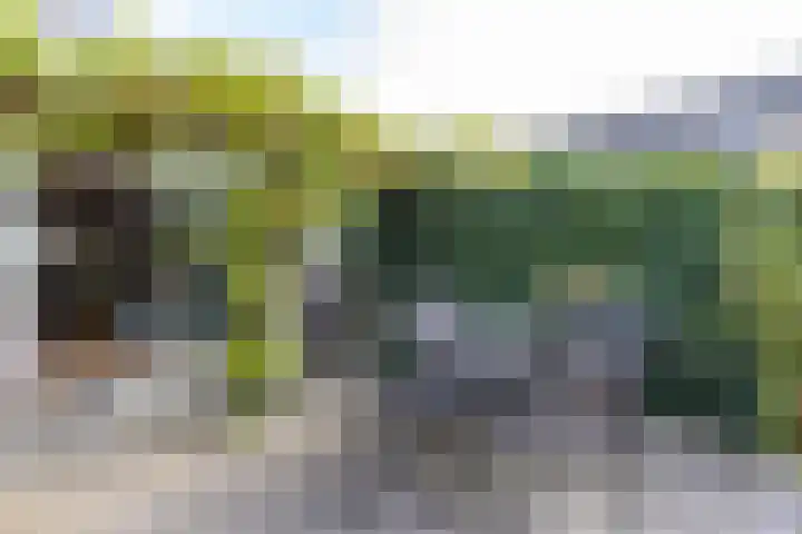 Van Ittersumstraat 9 Groningen thumbnail 30